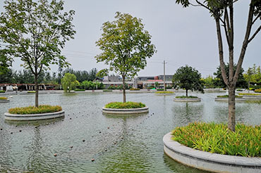 景觀水體水質(zhì)提升-陜西省西安市灃濱水鎮(zhèn)生態(tài)景區(qū)公園湖