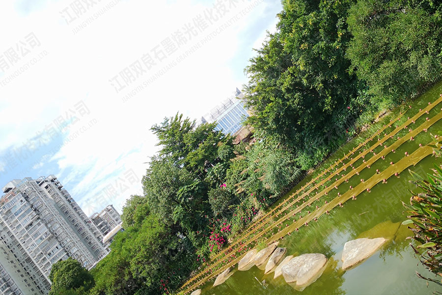 景觀水體水質提升-福建省龍巖市石鑼鼓濕地公園