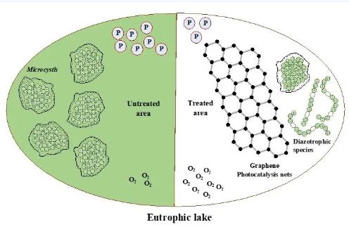 云南大學(xué)張虎才研究團隊發(fā)表石墨烯光催化技術(shù)對高污染富營養(yǎng)化湖泊水質(zhì)提升實驗研究成果