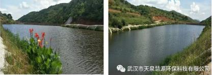 云南雙廊尾水塘庫(kù)水質(zhì)凈化工程