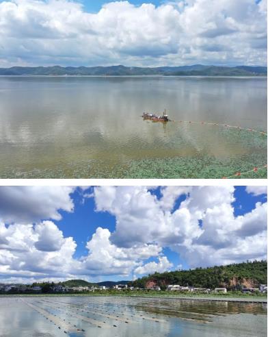 走出大通湖流域水環(huán)境治理與可持續(xù)發(fā)展新路子