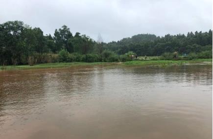 城鄉(xiāng)中小河道底泥原位固化穩(wěn)定化創(chuàng)新技術(shù)工藝及應用實踐