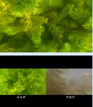 澤尼特為朝陽(yáng)溪污水處理廠提供水環(huán)境治理方案