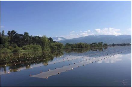 湖北“黑科技”將湖泊水庫污水就地變清流，雙良值得推廣